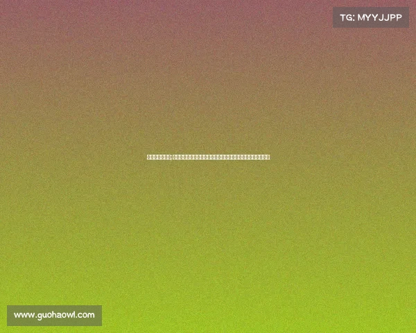 马拉松顶级赛事;聚焦全球顶级马拉松赛事壮观场景选手拼搏与文化传承深远影响