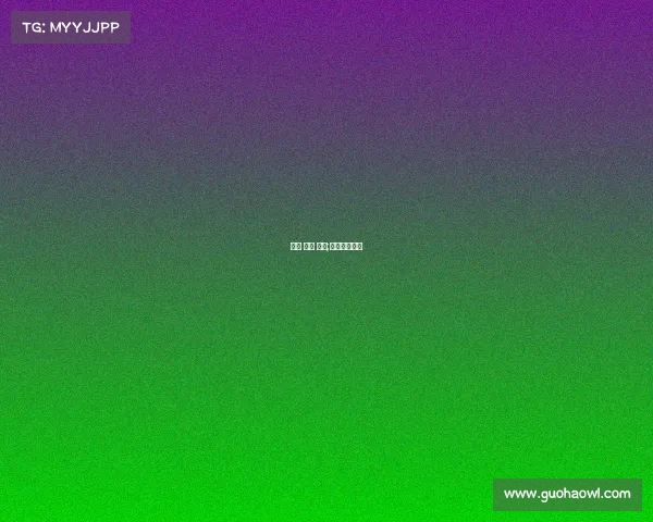 上海 一月 赛事;上海最近赛事