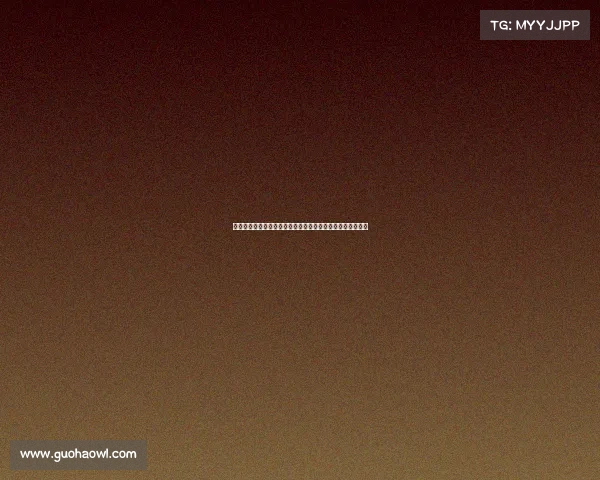 中国女排勇夺全球顶级赛事最高排名书写体育辉煌历史新篇章