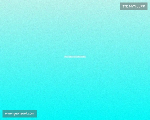 女排二队的赛事;女排二队的赛事有哪些