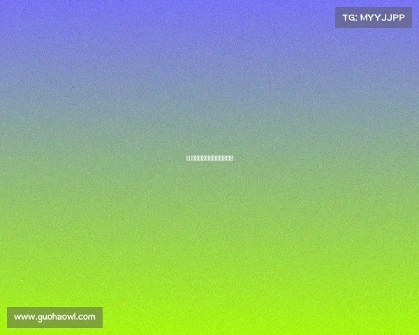 市 县体育赛事—体育赛事举办